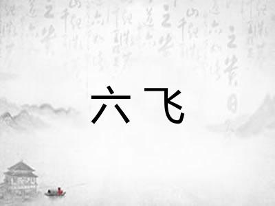 六飞 六飞