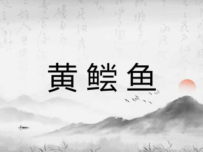 黄鲿鱼 黄鲿鱼