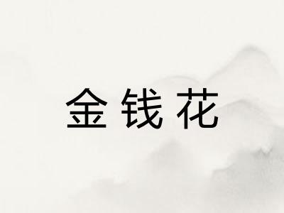 金钱花 金钱花