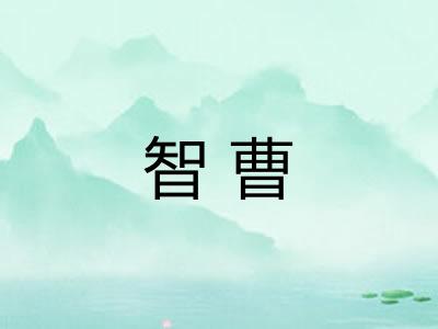 智曹