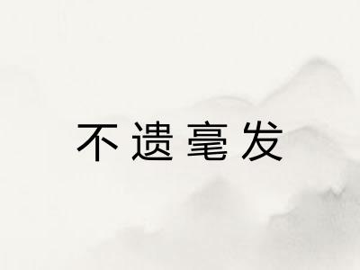 不遗毫发 不遗毫发