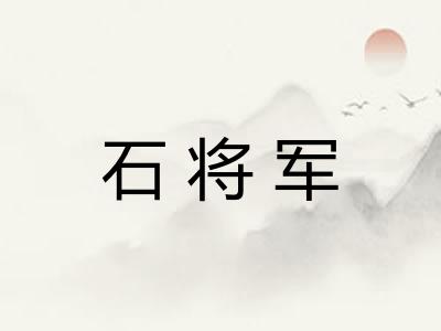石将军 石将军