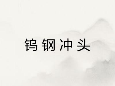 钨钢冲头 钨钢冲头