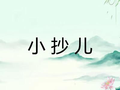 小抄儿 小抄儿