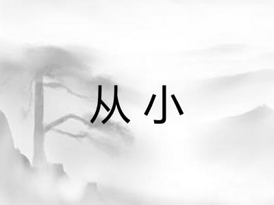 从小 从小