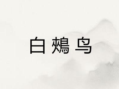 白鵊鸟 白鵊鸟
