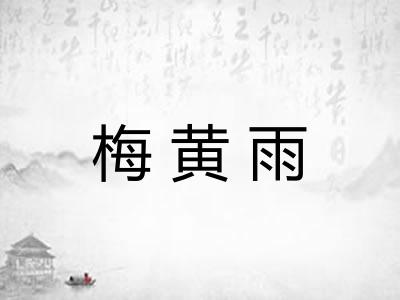 梅黄雨 梅黄雨