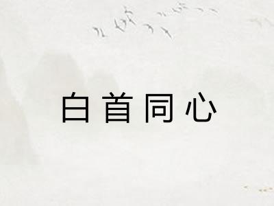 白首同心