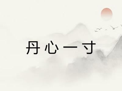 丹心一寸 丹心一寸