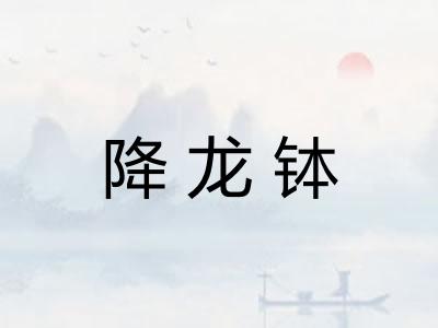 降龙钵