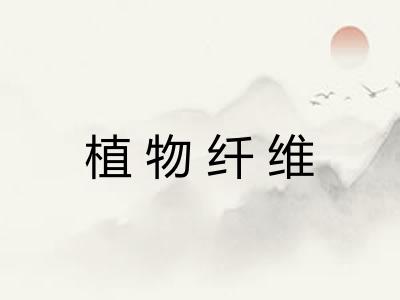 植物纤维 植物纤维