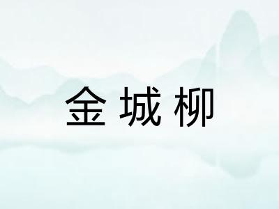 金城柳 金城柳