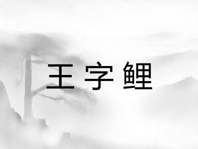王字鲤