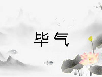 毕气 毕气