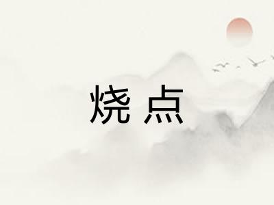 烧点