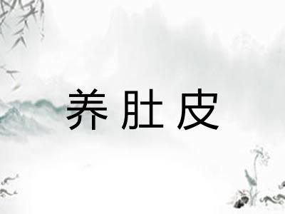 养肚皮 养肚皮