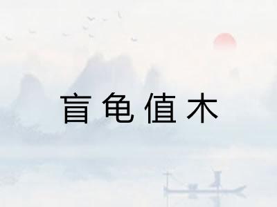 盲龟值木 盲龟值木