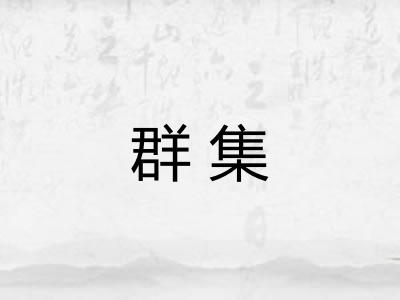 群集 群集