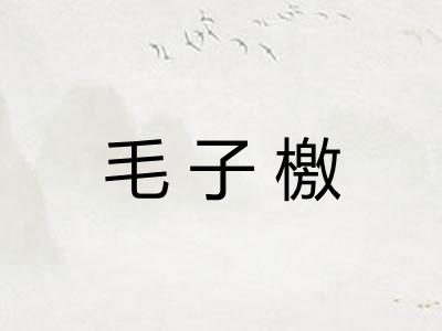 毛子檄 毛子檄