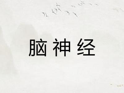 脑神经 脑神经