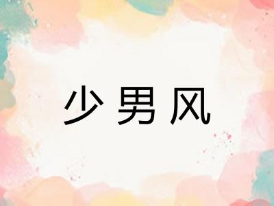 少男风