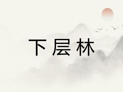 下层林 下层林