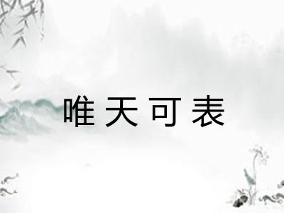 唯天可表 唯天可表