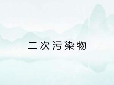 二次污染物 二次污染物