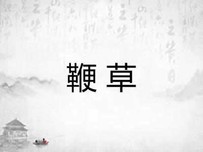 鞭草 鞭草