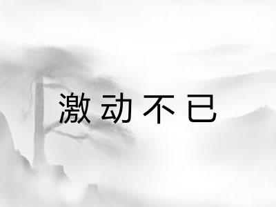 激动不已 激动不已