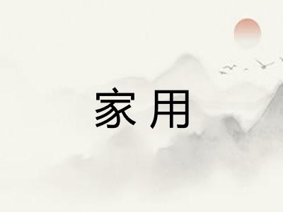家用 家用