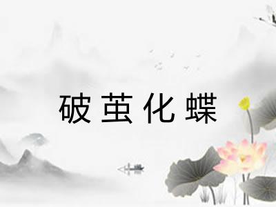 破茧化蝶 破茧化蝶