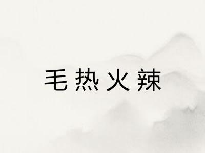 毛热火辣 毛热火辣