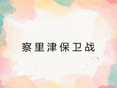 察里津保卫战 察里津保卫战