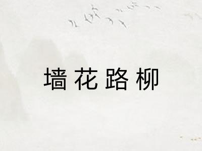 墙花路柳 墙花路柳