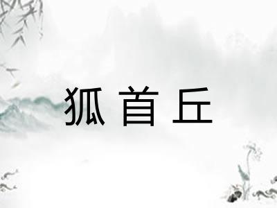 狐首丘