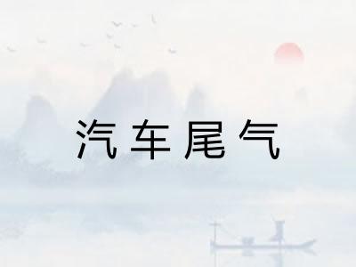 汽车尾气 汽车尾气