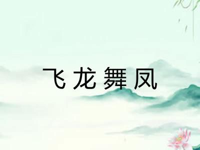 飞龙舞凤