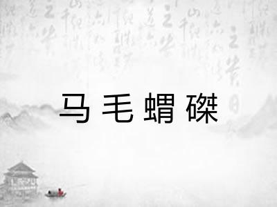 马毛蝟磔 马毛蝟磔