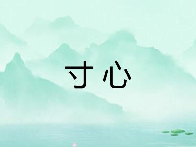 寸心