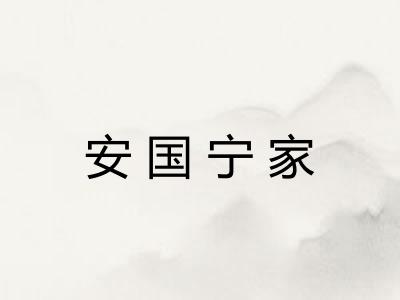 安国宁家