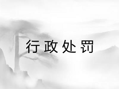 行政处罚 行政处罚