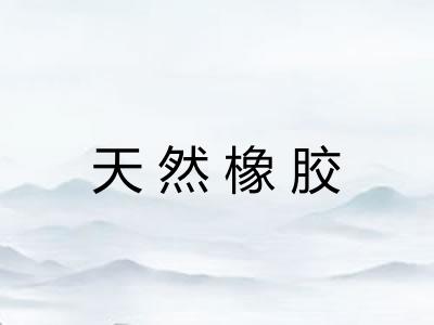 天然橡胶 天然橡胶