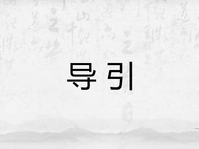 导引