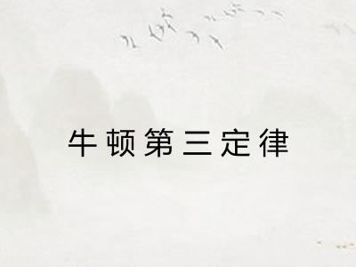 牛顿第三定律 牛顿第三定律