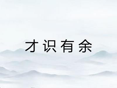 才识有余 才识有余