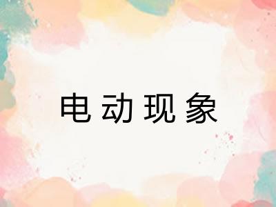 电动现象 电动现象