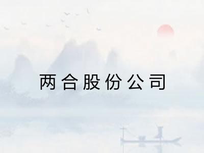 两合股份公司 两合股份公司
