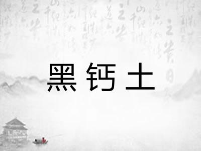 黑钙土 黑钙土