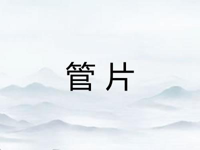 管片